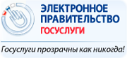 Электронное правительство